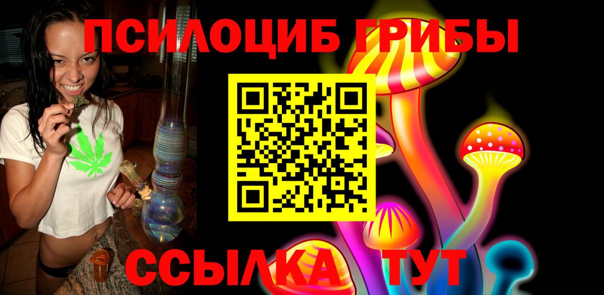 Галлюциногенные грибы Psilocybe Новоалтайск