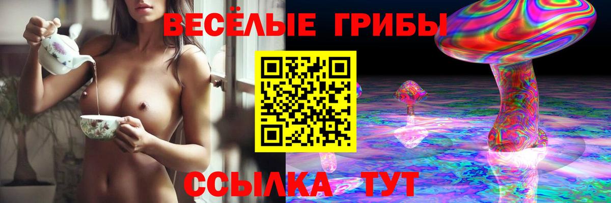 Псилоцибиновые грибы Psilocybine cubensis  Псилоцибиновые грибы MAGIC MUSHROOMS  Новоалтайск  Вход с VPN 